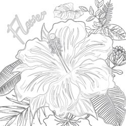 Best Flower Coloring Page - Printable Coloring page