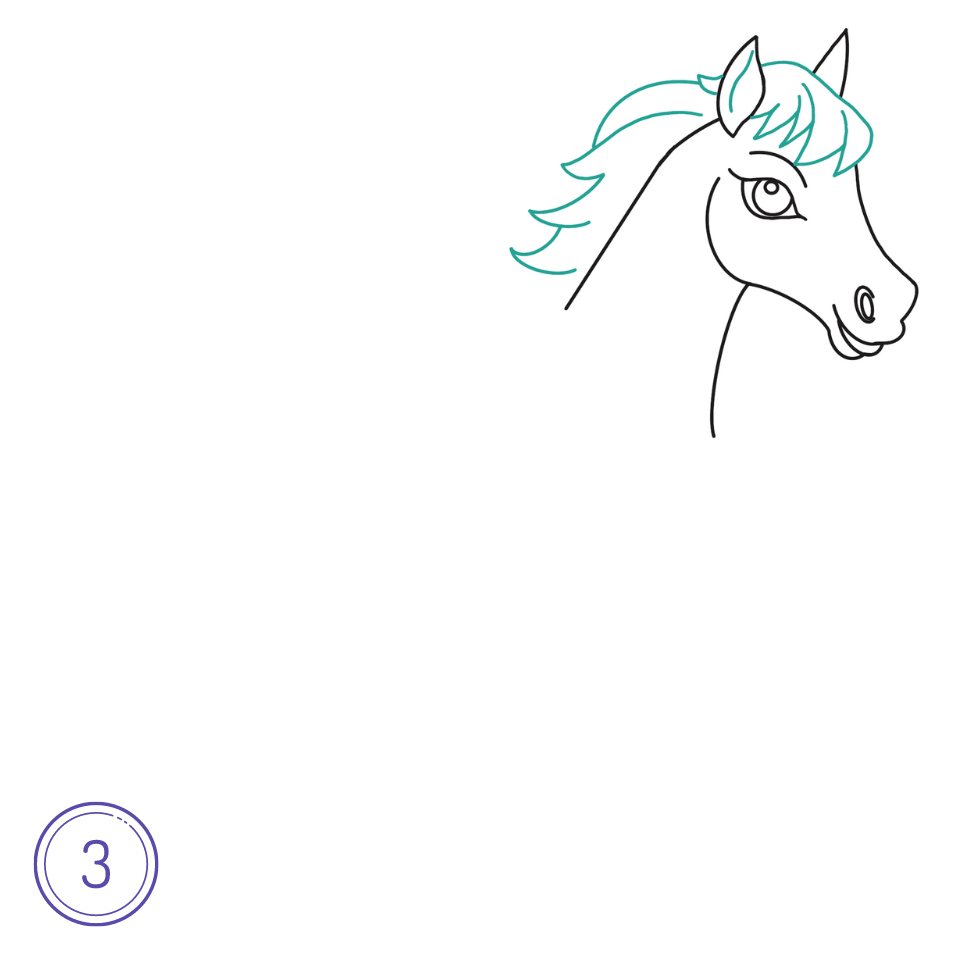 Comment Dessiner Un Cheval Étape 3