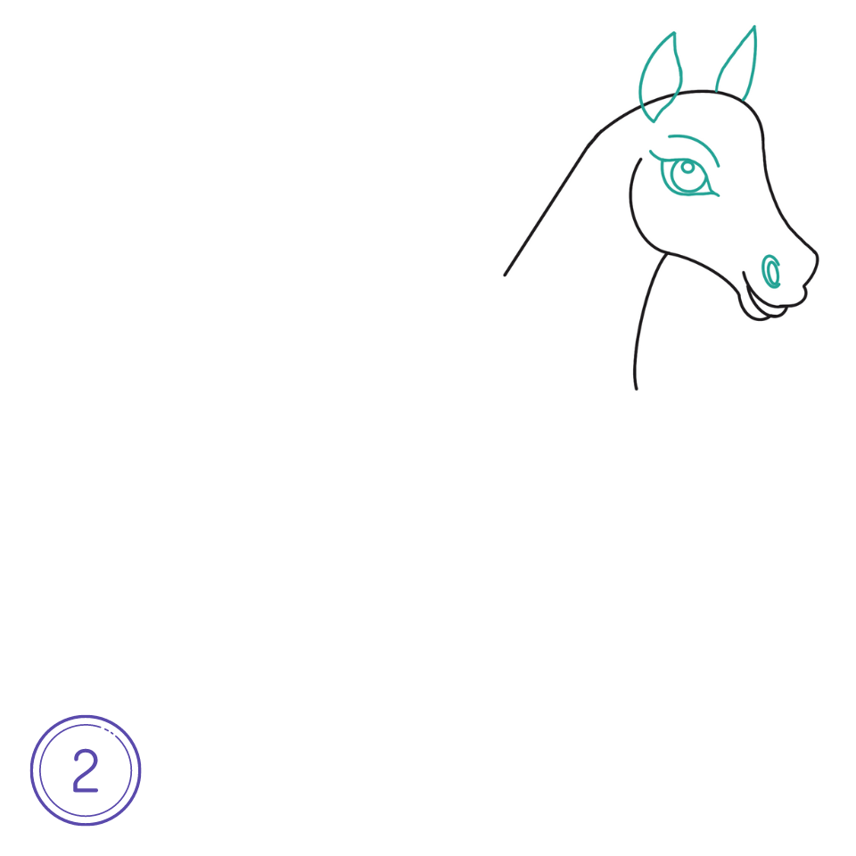 How to Draw a Horse Step 2