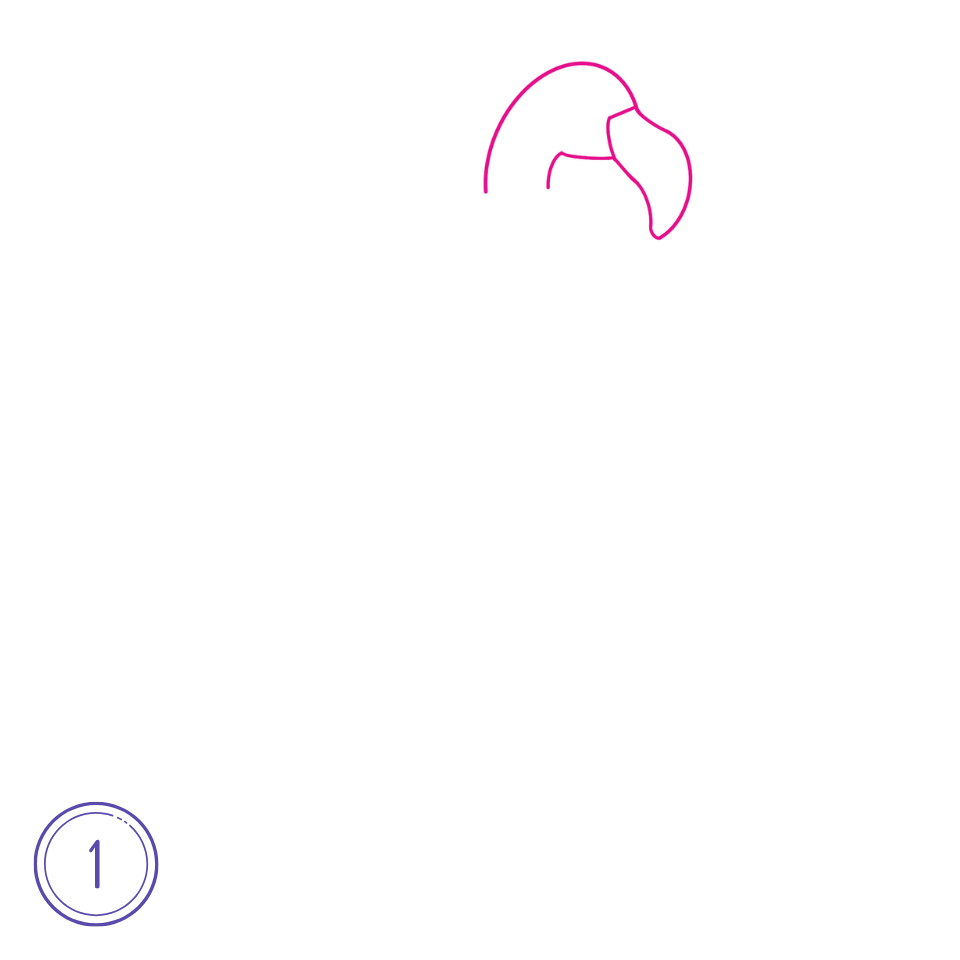 フラミンゴの描き方 ステップ 1