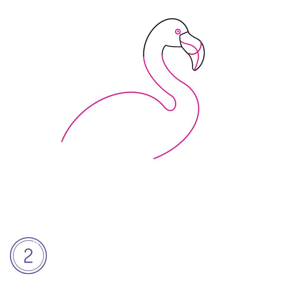 Comment dessiner un flamant rose Étape 2