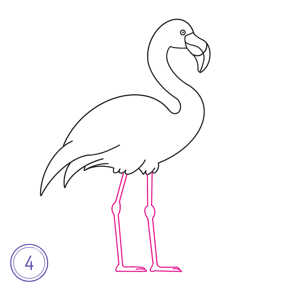 Comment dessiner un flamant rose Étape 4