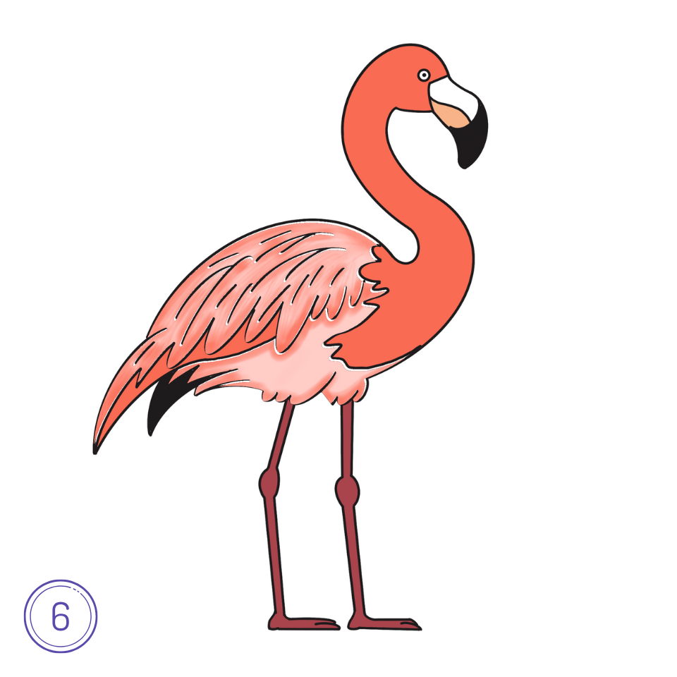 Wie man einen Flamingo zeichnet Schritt 6