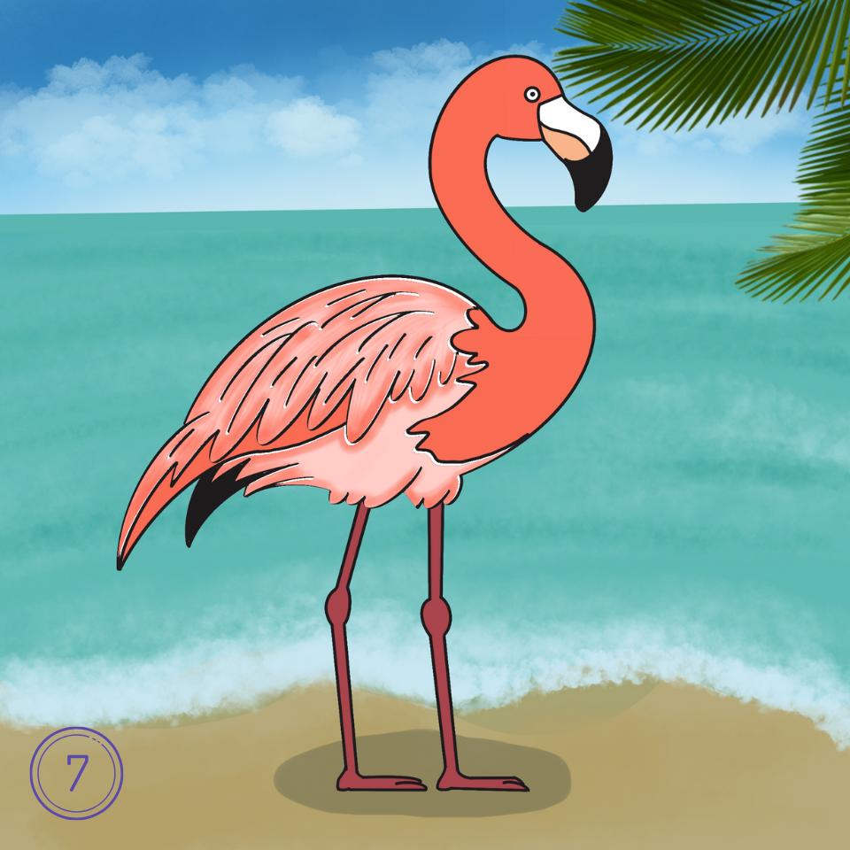 How to Draw a Flamingo Step 7