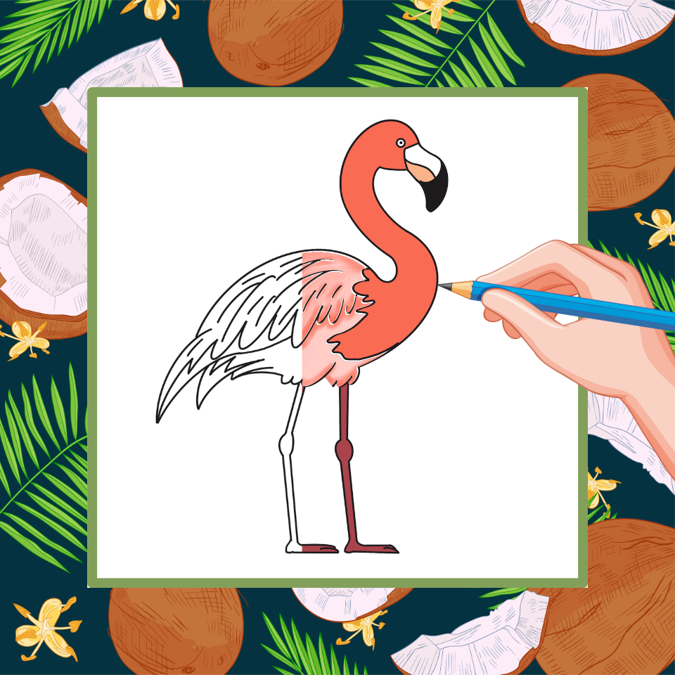 Wie man einen Flamingo zeichnet