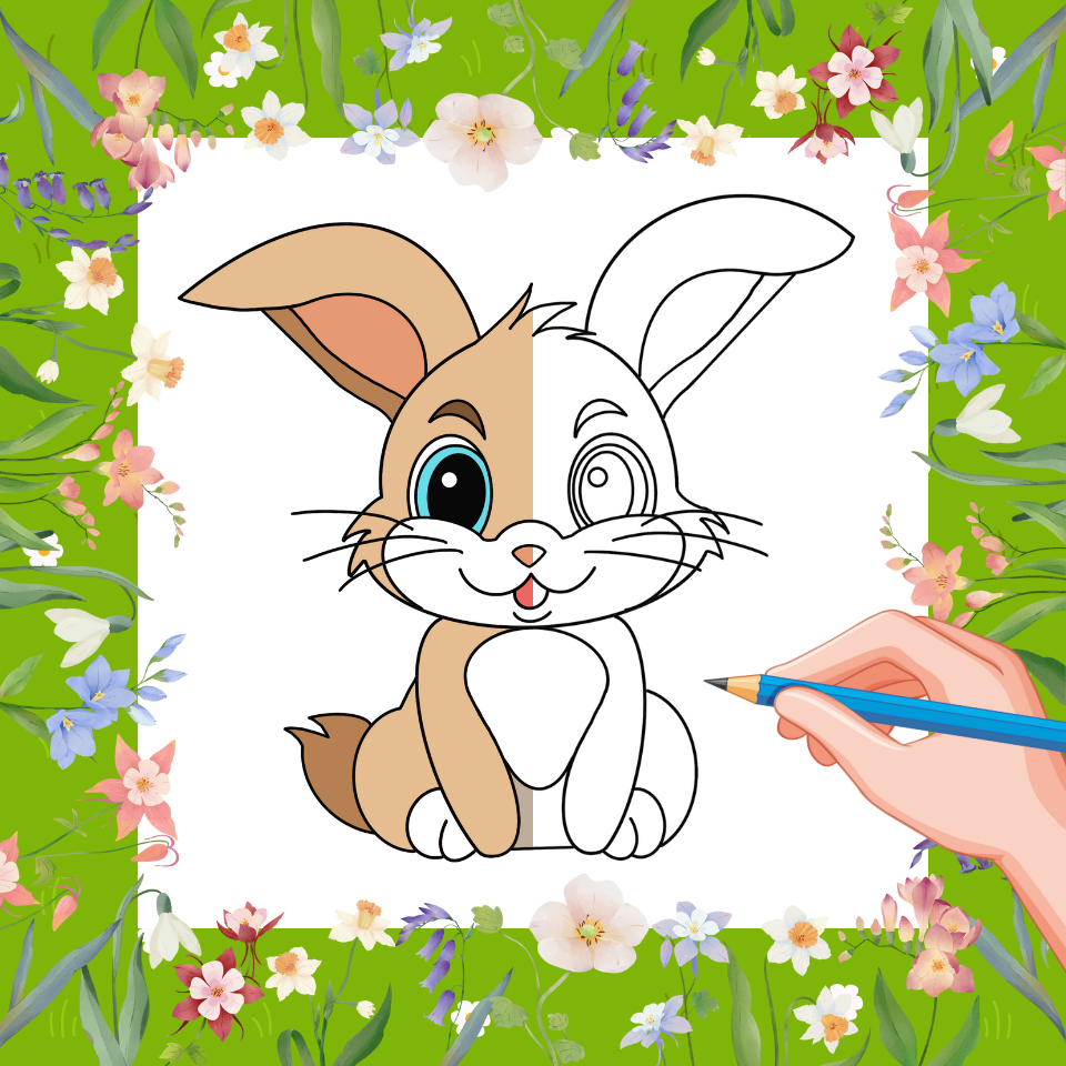 Comment Dessiner un Lapin