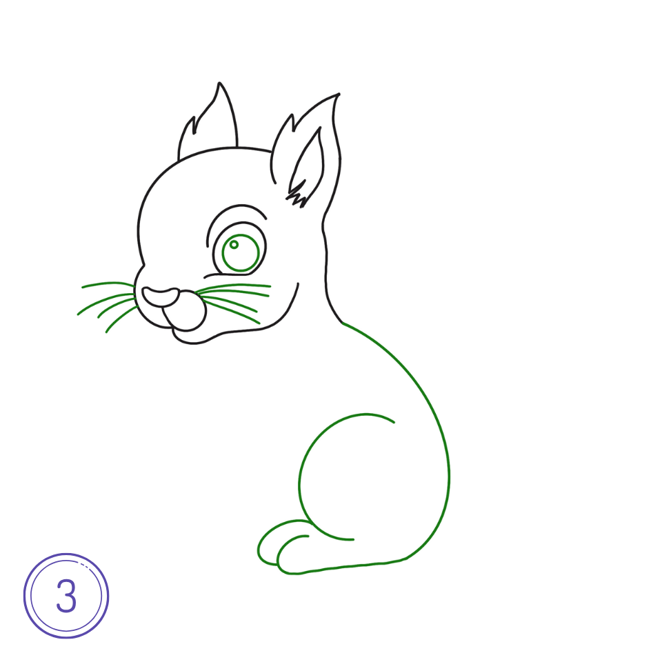 How to Draw a Squirrel Step 3