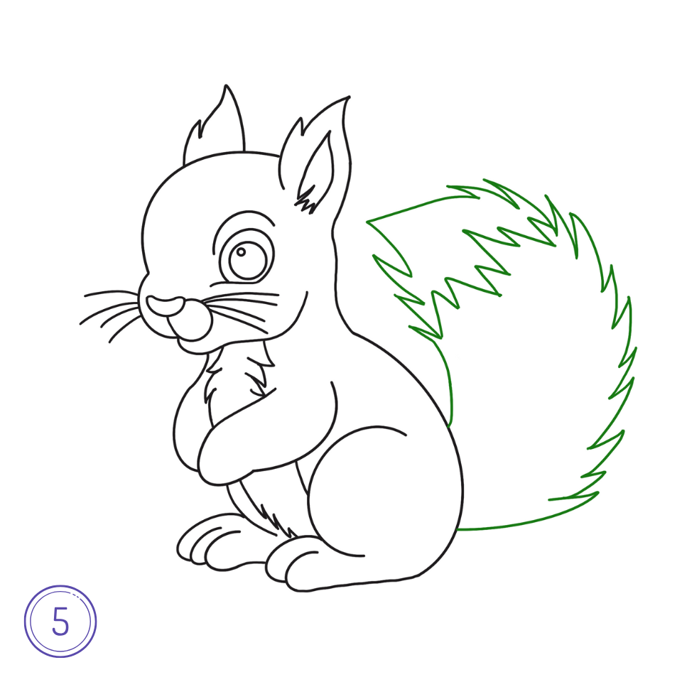 How to Draw a Squirrel Step 5