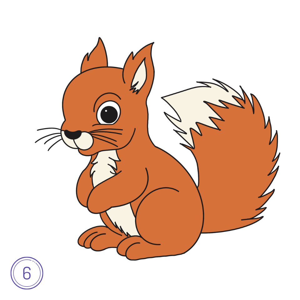 How to Draw a Squirrel Step 6