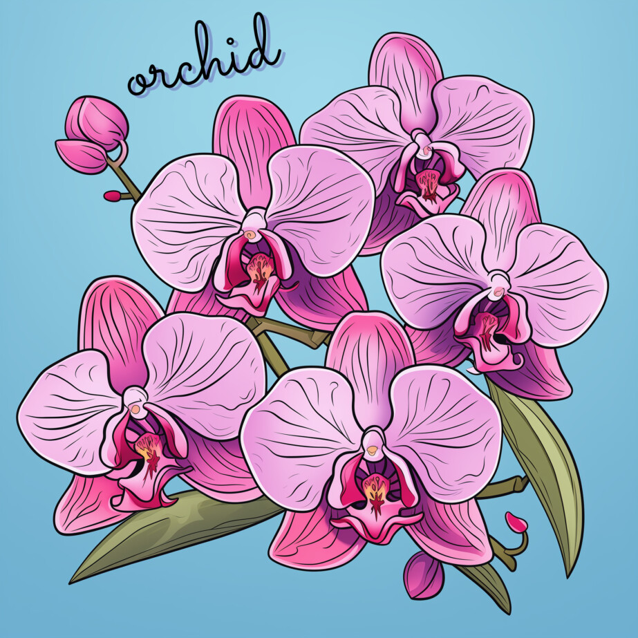 Best Orchid Coloring Page 2