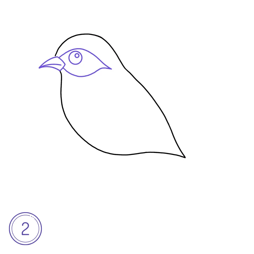 鳥の描き方ステップ2