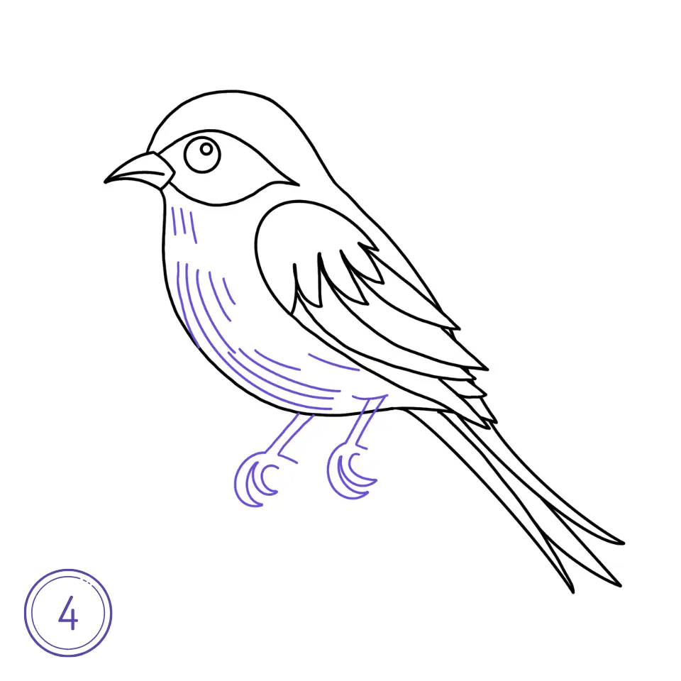 鳥の描き方ステップ4