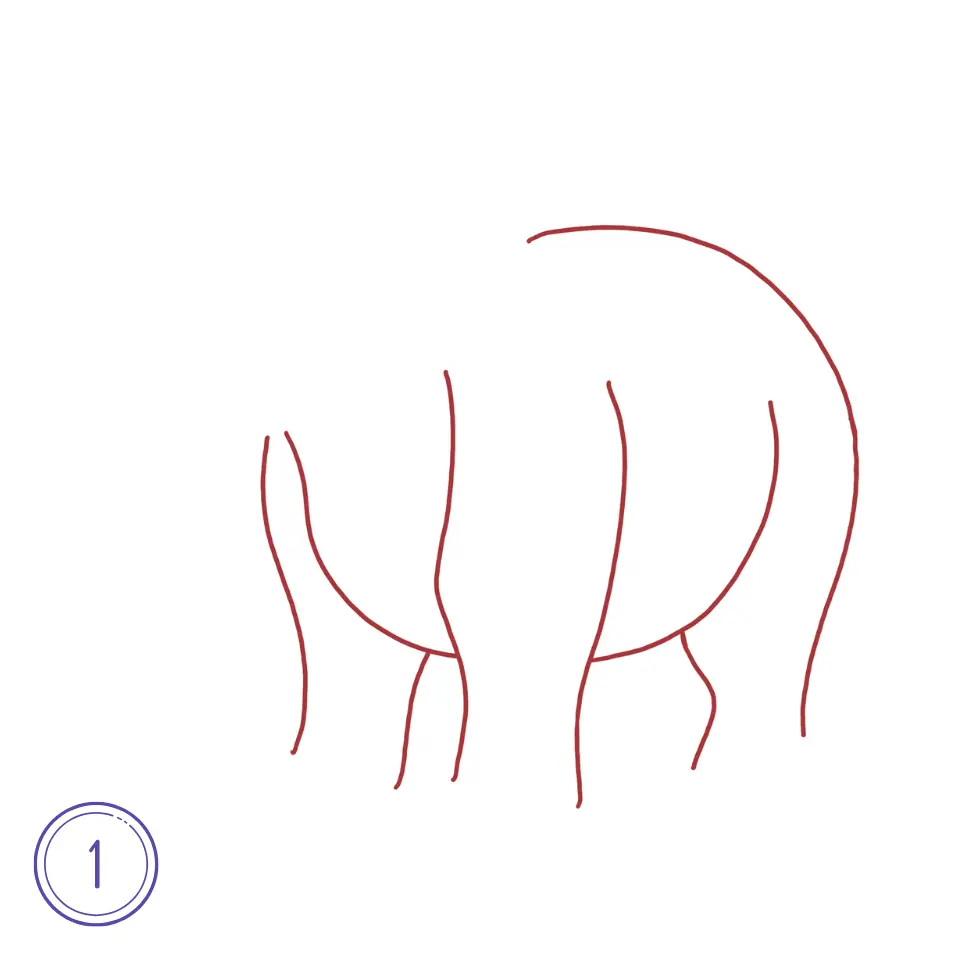 How to Draw a Hippopotamus Step 1