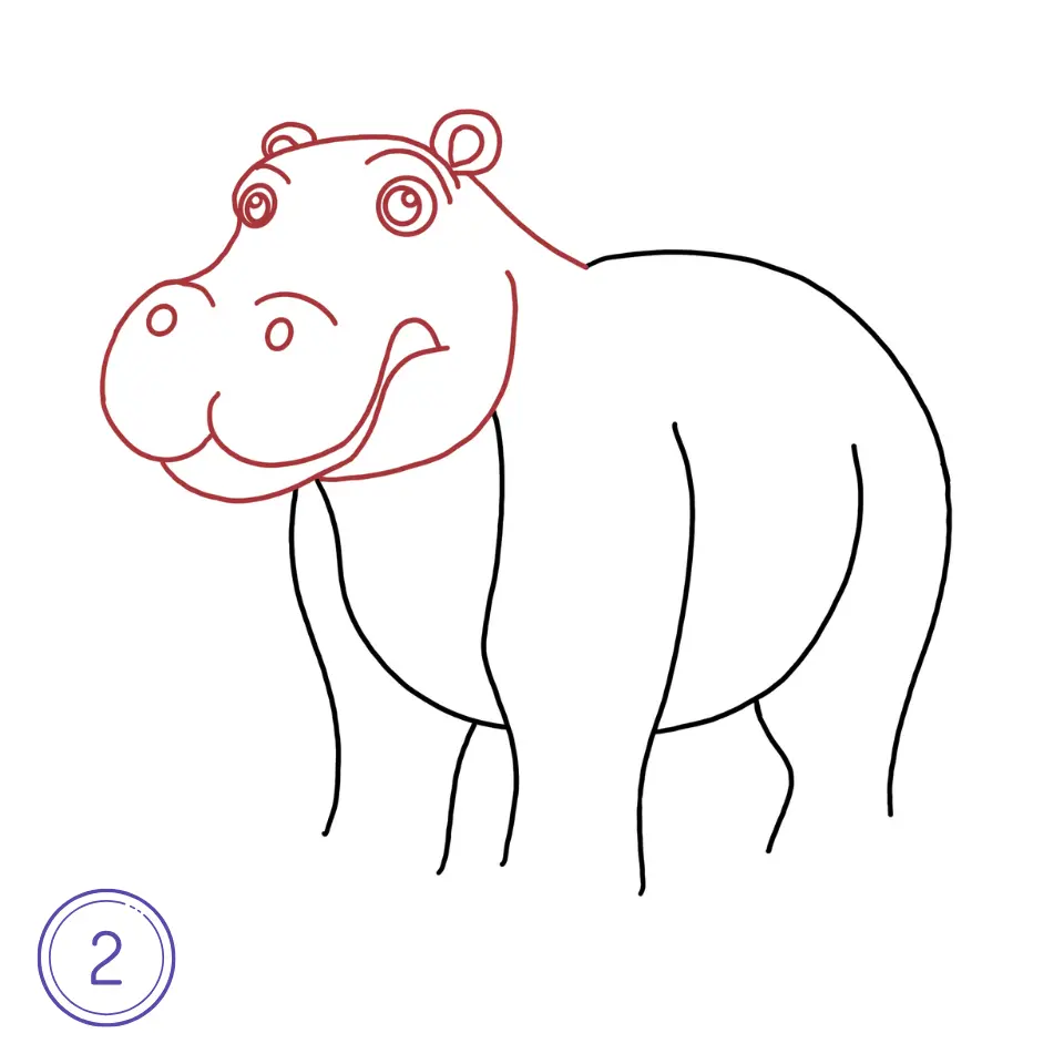 How to Draw a Hippopotamus Step 2