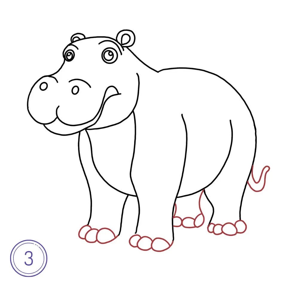 How to Draw a Hippopotamus Step 3