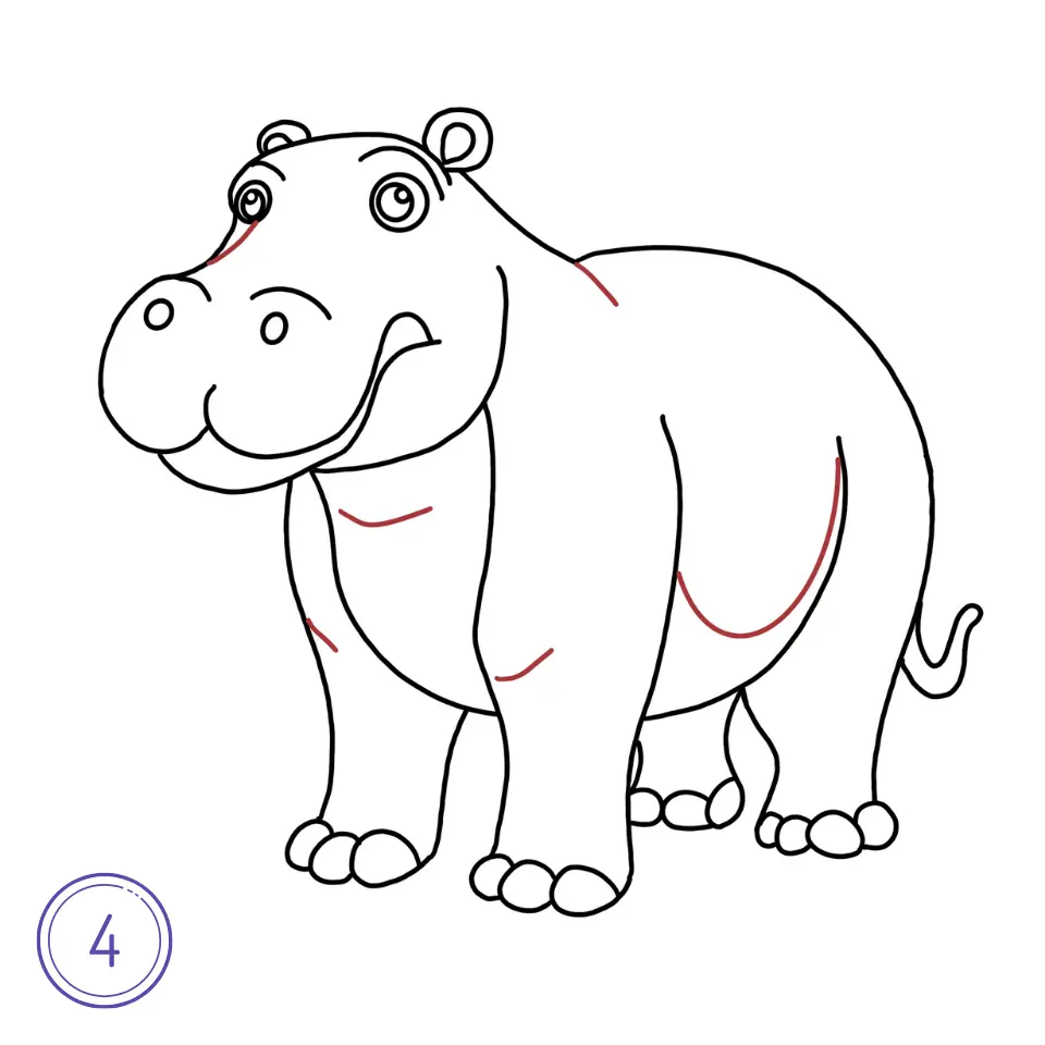 How to Draw a Hippopotamus Step 4