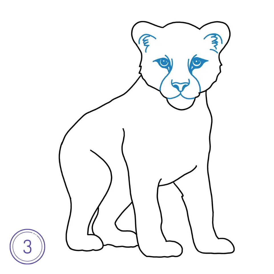 How to Draw a Leopard Step 3