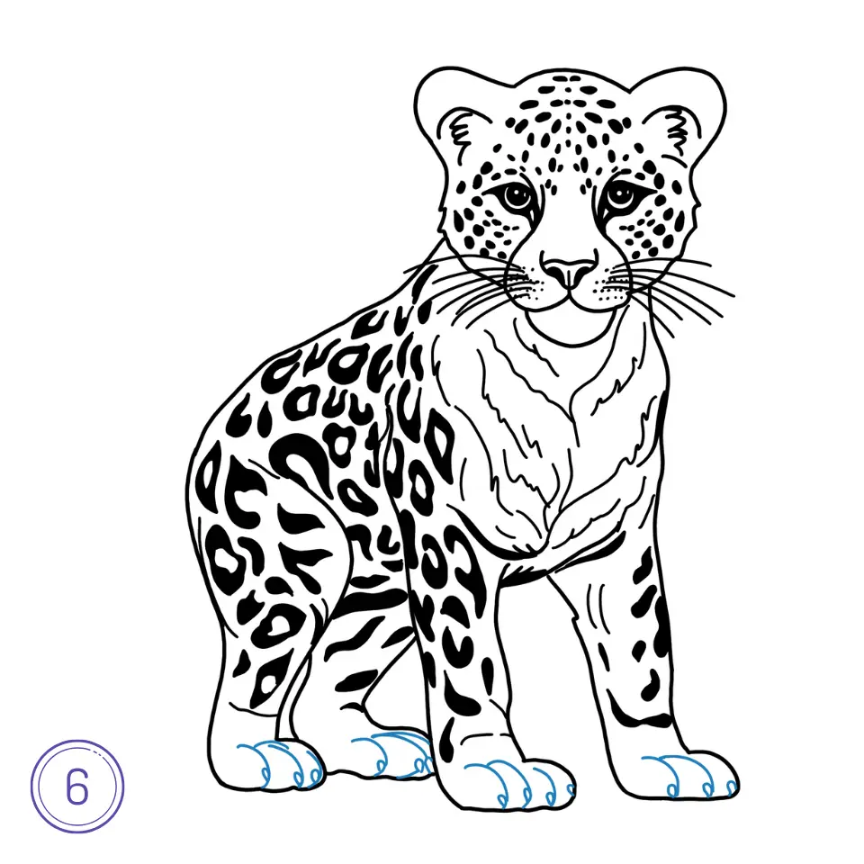 Cómo Dibujar un Leopardo Paso 6