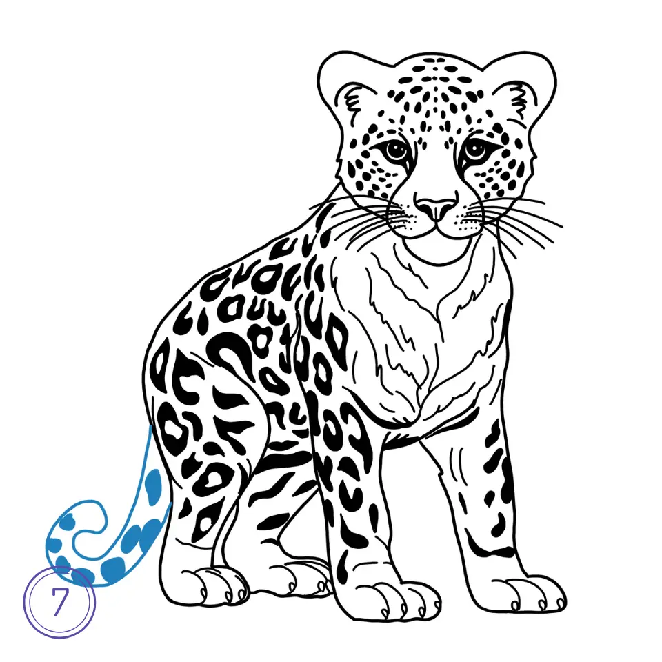 How to Draw a Leopard Step 7