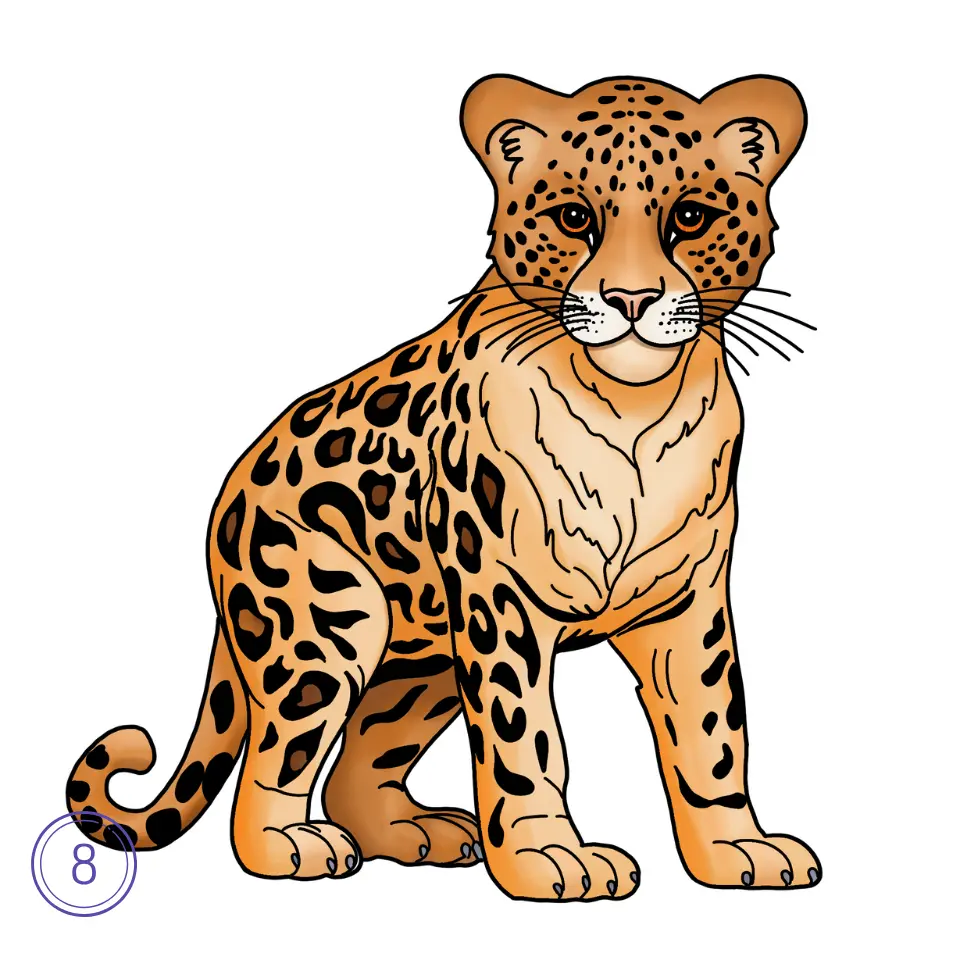 How to Draw a Leopard Step 8