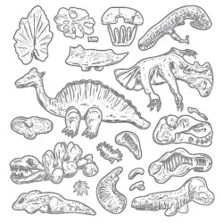 Fossilien Malvorlagen - Druckbare Ausmalbilder