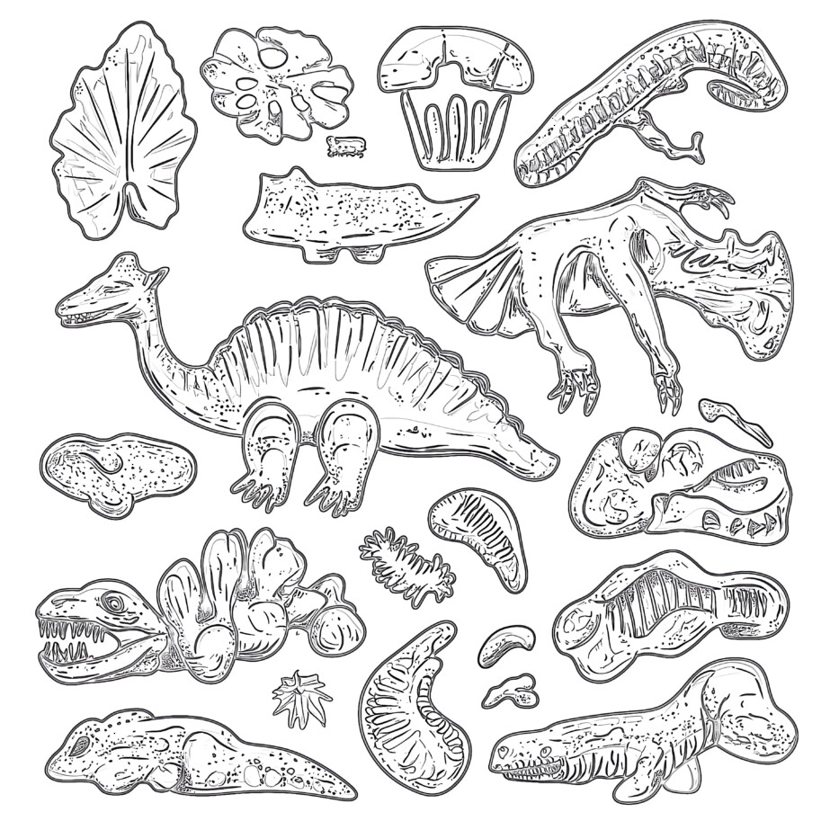 Fossils Coloring Pages