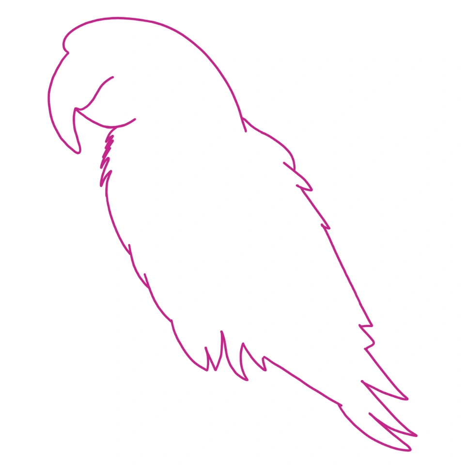 How To Draw A Parrot Step 1