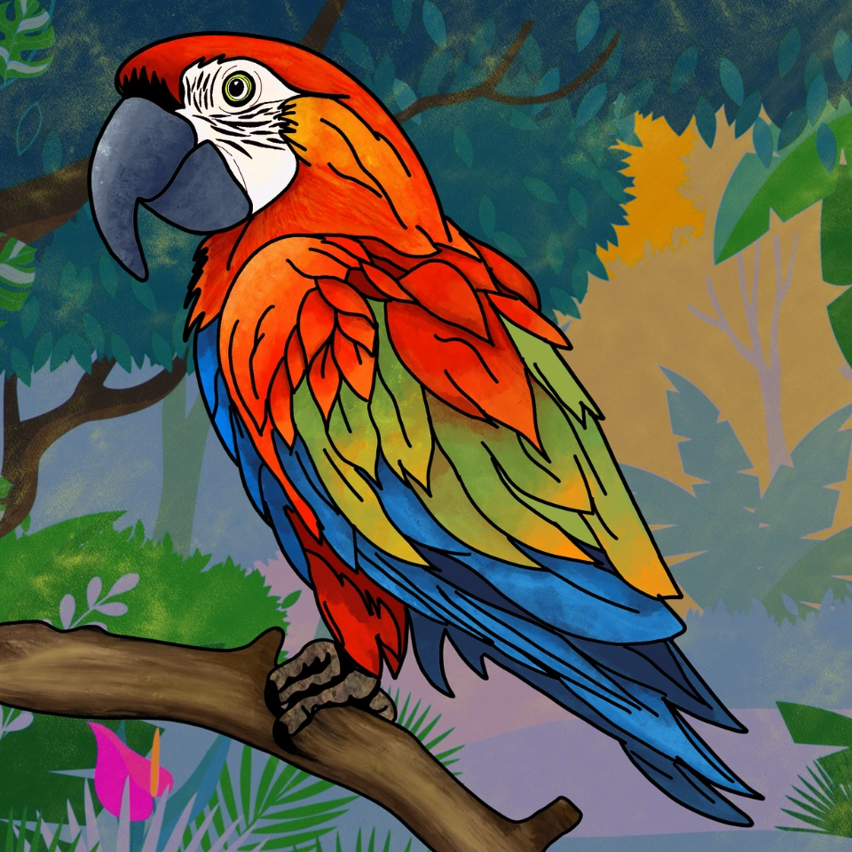 How To Draw A Parrot Step 7