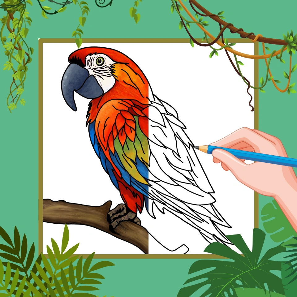 How To Draw A Parrot