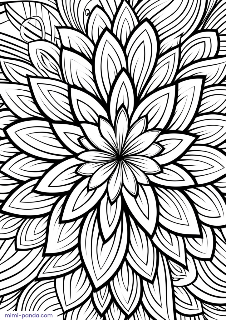 Mandalas Coloring Book 5