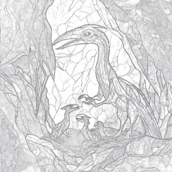 Página Para Colorear Pterodáctilo - Página para colorear