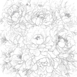 Adult Coloring Books Flowers - Printable Coloring page