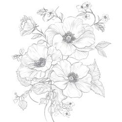 Adult Flower Coloring Page - Printable Coloring page