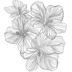 Beautiful Coloring Pages Of Flowers - Printable Coloring page