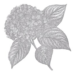 Beautiful Flower Coloring Pages - Printable Coloring page