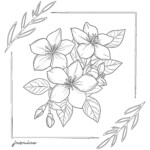 Best Jasmine Coloring Page