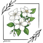 Best Jasmine Coloring Page 2 2