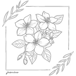 Best Jasmine Coloring Page - Printable Coloring page