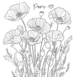 Best Poppy Coloring Page - Printable Coloring page