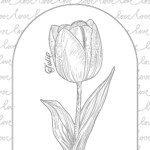 Best Tulip Coloring Page