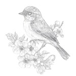 Bird And Flower Coloring Pages