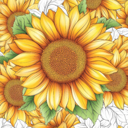 Color Book Pages Flowers - Origin image