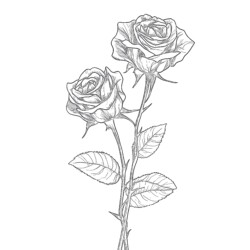 Color Page Of A Rose Coloring Page - Printable Coloring page