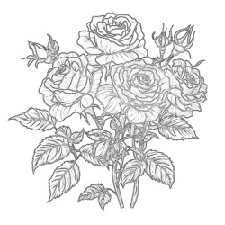 Color Pictures Of Roses Coloring Page - Printable Coloring page