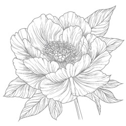 Coloring Books Flowers - Printable Coloring page