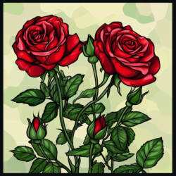 Coloring Pages For Adults Roses - Origin image