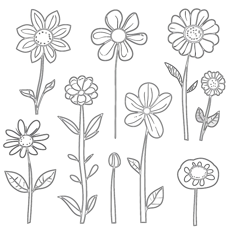 Coloring Pages Of Flowers For Preschool