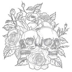 Coloring Pages Of Skulls And Roses - Printable Coloring page