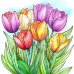 Coloring Pages Of Tulips 2 2