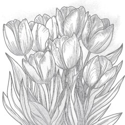 Coloring Pages Of Tulips Coloring Page - Printable Coloring page